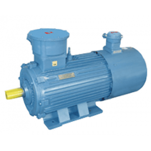 YBBP系列隔爆型變頻調(diào)速三相異步電動(dòng)機(jī)