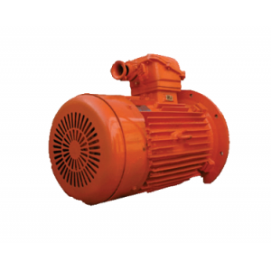 YBS（DSB）系列輸送機(jī)用隔爆型異步電動機(jī)