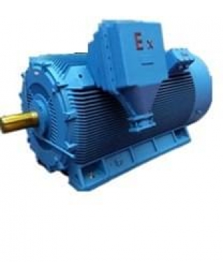 YFB系列高壓粉塵防爆三相異步電動機
