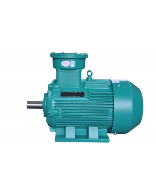 YBX3系列超高效隔爆型三相異步電動(dòng)機(jī)