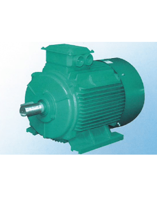 Y2D/Y2DT系列變級(jí)多速三相異步電動(dòng)機(jī)