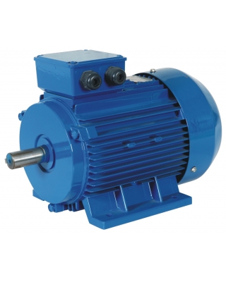 YE3系列超高效三相異步電動機(jī)