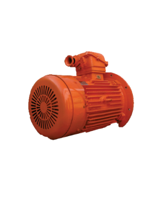 YBS（DSB）系列輸送機(jī)用隔爆型異步電動(dòng)機(jī)
